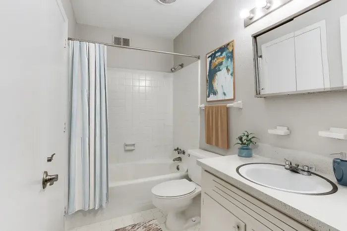 ReNew Druid Hills Bathroom with Vanity Mirror and Modern Light Fixtures