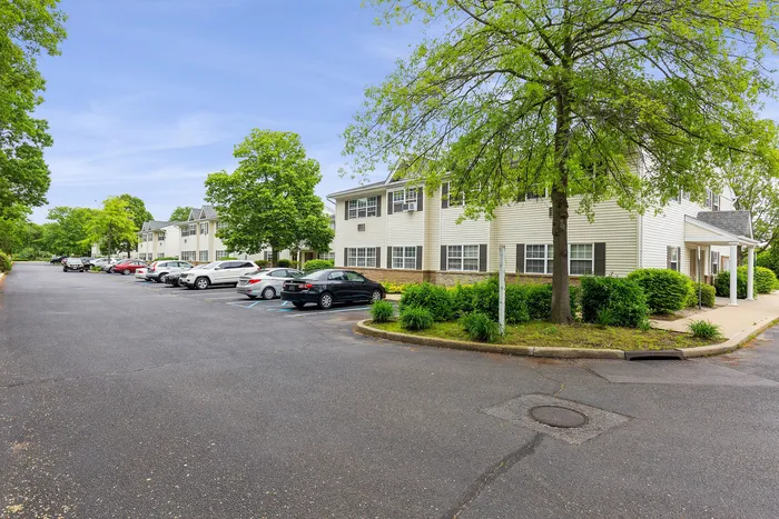 Charming residential building with ample parking and lush trees, ideal for serene living.