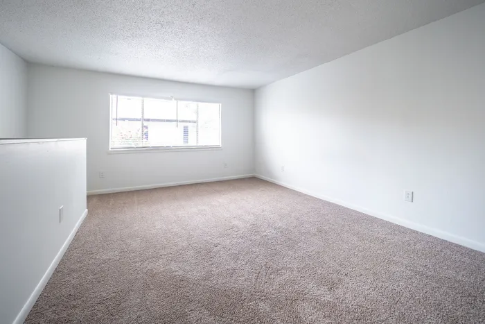 Bright and spacious room with plush carpet and large window, perfect for creating a cozy living space.