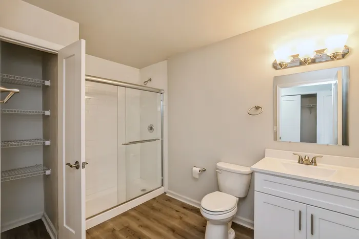 Sleek and modern bathroom featuring a glass-enclosed shower, elegant vanity with chic lighting, and ample storage with closet space.