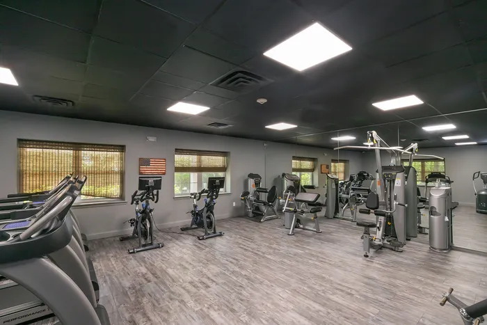 Sleek, modern gym featuring high-end cardio and strength equipment with large windows and a mirrored wall.