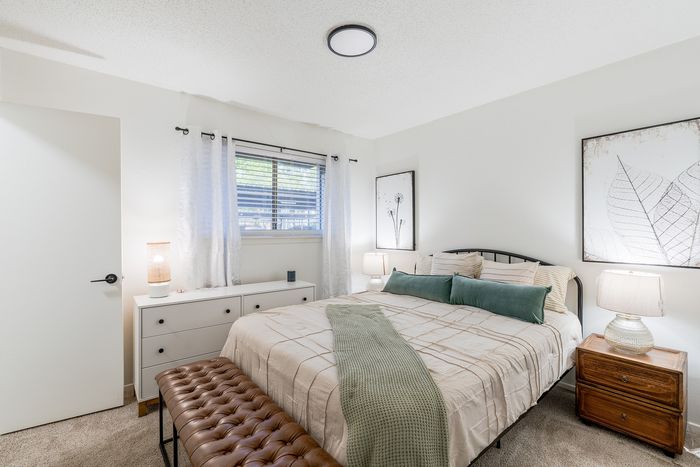 Bright and inviting bedroom featuring a comfortable bed, modern decor, and natural light through the window, creating a serene and cozy ambiance.