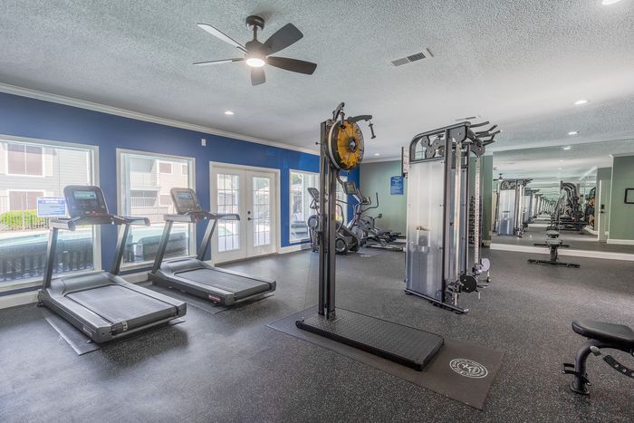 Modern fitness center with treadmills, exercise machines, and bright sunlit windows overlooking the outdoor area.
