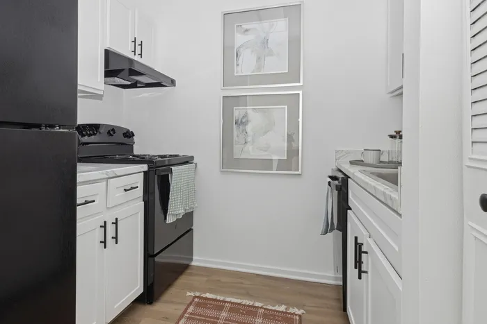 Chic and compact kitchen featuring modern black appliances, sleek white cabinetry, and elegant framed artwork.