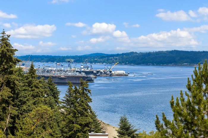 ReNew Waterview Lake Views