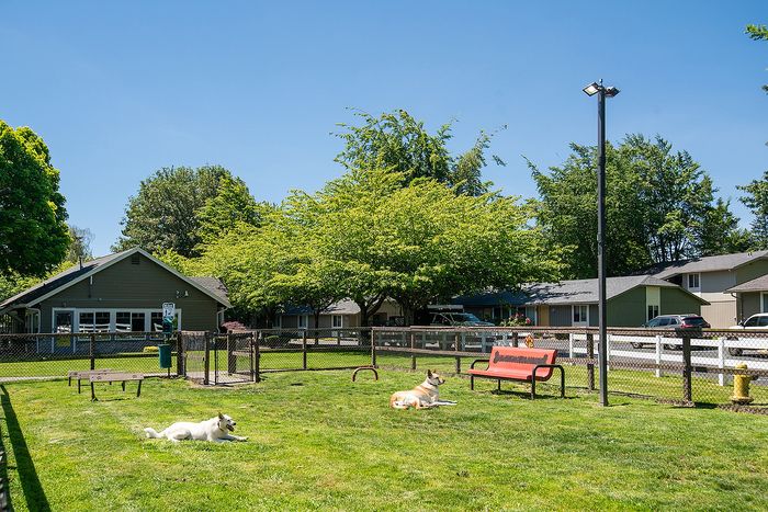Charming outdoor space featuring a fenced dog park with lush green grass, playful dogs, and inviting benches under a clear blue sky.