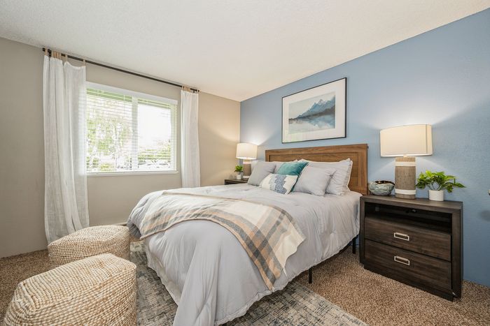 Bright and inviting bedroom with plush carpet, elegant decor, and a large window allowing natural light.