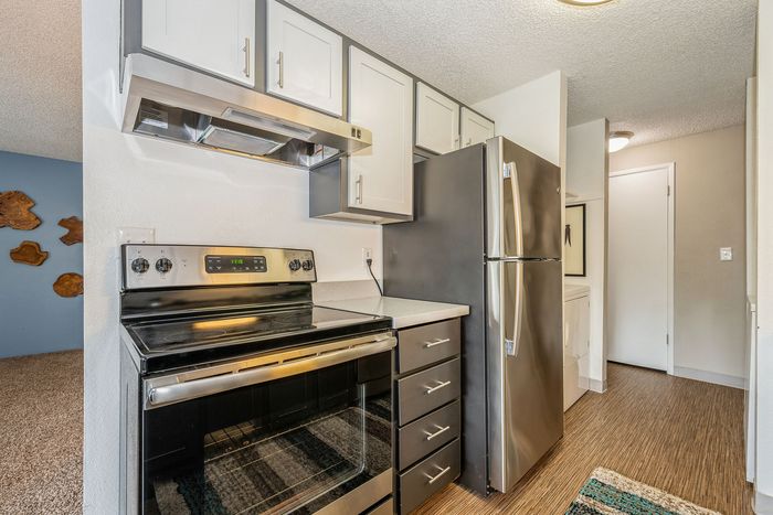 Modern kitchen with stainless steel appliances, sleek cabinetry, and stylish wood-look flooring, perfect for culinary enthusiasts.