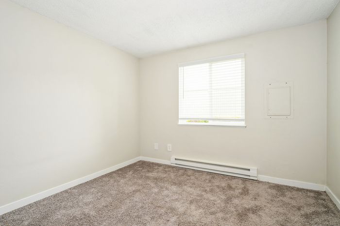 Bright and cozy room with soft carpet flooring and a large window allowing natural light.