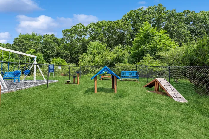 Vibrant dog park with agility equipment, cozy seating, and lush greenery under a clear blue sky.
