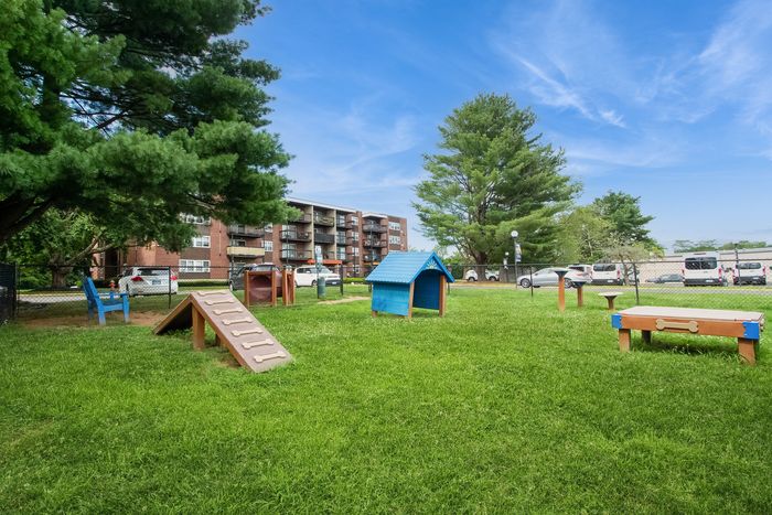 Pet-friendly apartment complex with a vibrant outdoor play area featuring agility equipment, lush greenery, and scenic picnic spots.
