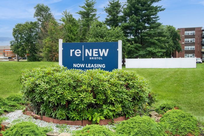 Inviting sign for reNEW Bristol amid lush greenery, highlighting new leasing opportunities in a peaceful residential area.