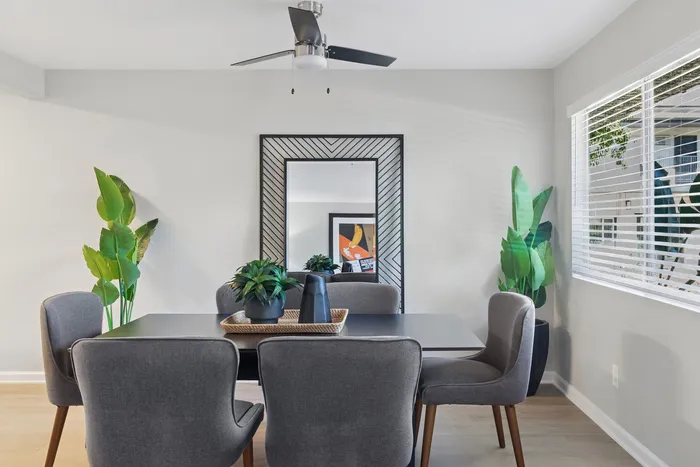 Bright dining room featuring a sleek black table, elegant grey chairs, large mirror, and lush green plants, with sunlight streaming through the window.