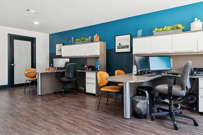 Modern office space with elegant wood flooring, vibrant blue accent wall, and stylish desks featuring comfortable chairs and sleek computers.