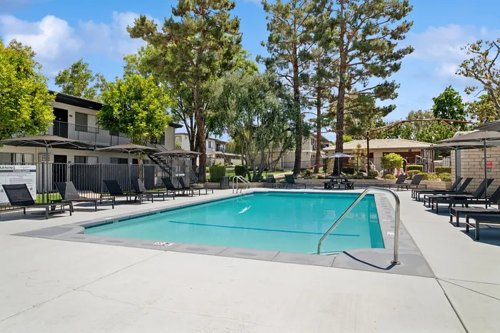 Inviting outdoor pool area with modern lounge chairs, surrounded by lush greenery and tall trees, perfect for relaxation.
