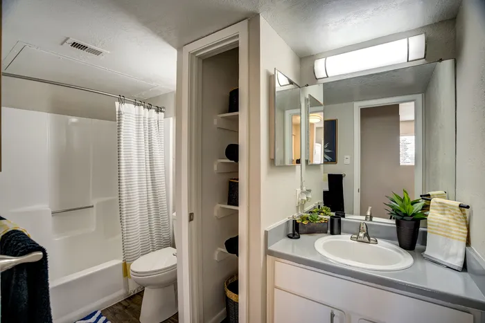 Modern bathroom with elegant lighting, a sleek vanity with a decorative plant, and a shower tub featuring a stylish striped curtain for a luxurious look.