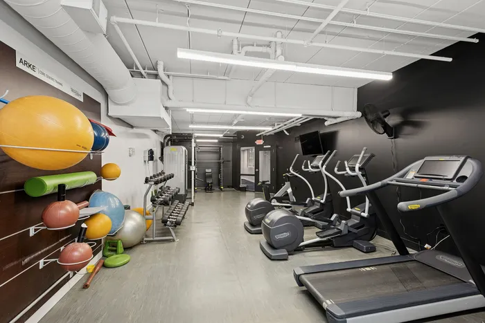 Modern fitness center with state-of-the-art gym equipment, including treadmills, ellipticals, and a variety of exercise balls and weights.