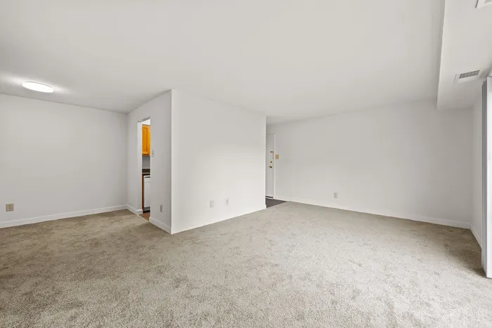 Spacious, bright living area with plush carpeting and modern lighting, leading to a cozy kitchen in an elegant apartment.