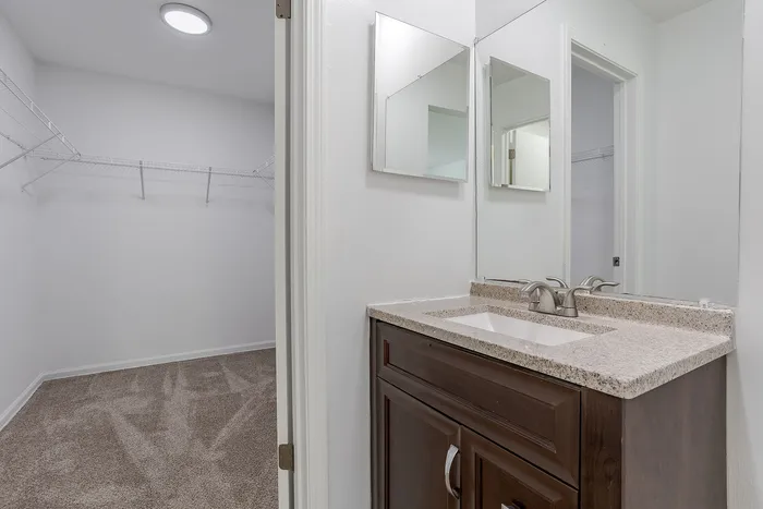 Elegant bathroom view with a modern sink next to a spacious carpeted walk-in closet featuring ample shelving.