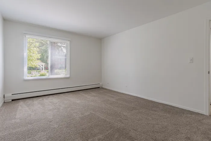 Bright and inviting empty room with plush carpet and large window offering scenic outdoor views.