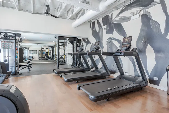 Modern fitness center featuring sleek treadmills, advanced TRX equipment, and artistic wall design for a vibrant workout experience.