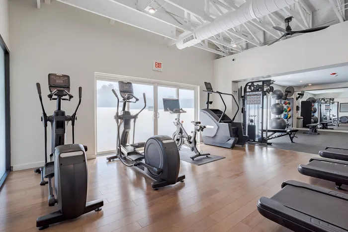 Modern fitness center with cardio machines, weight stations, and large exercise balls, featuring sleek wooden floors and ample natural light.