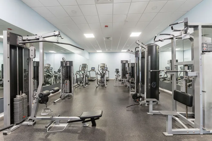 Modern fitness center equipped with state-of-the-art exercise machines, cardio equipment, and mirrored walls for a dynamic workout environment.