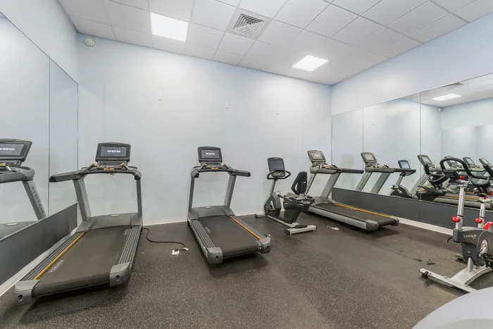 Modern fitness center featuring state-of-the-art treadmills and exercise bikes in a bright, mirrored room.