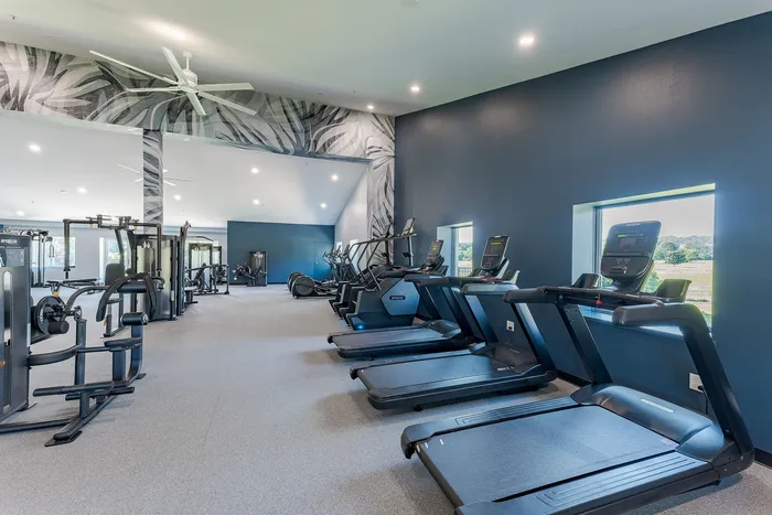 Spacious and modern gym with advanced cardio and weight equipment, featuring large windows with scenic views.
