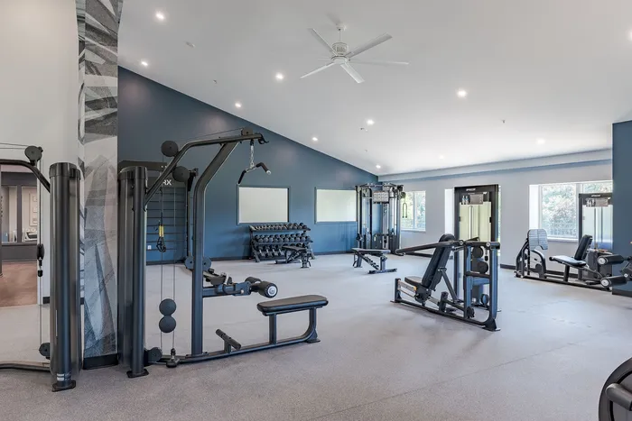 Bright and spacious gym with modern fitness equipment, large windows, and sleek design for an invigorating workout experience.