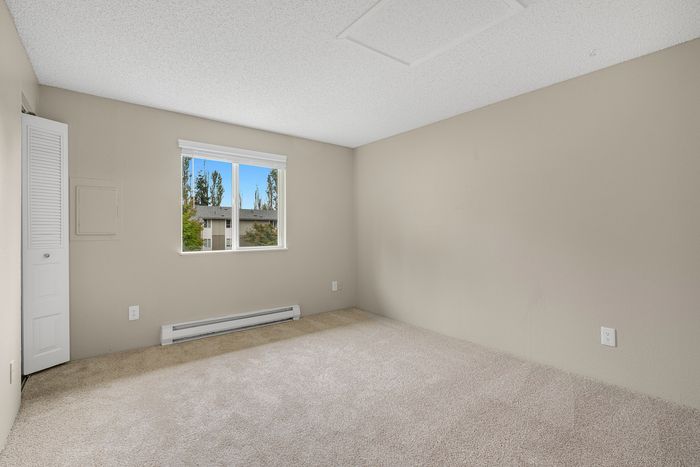 Bright, empty room with plush carpet and large window providing a serene view of trees, ideal for creating a personalized living space.
