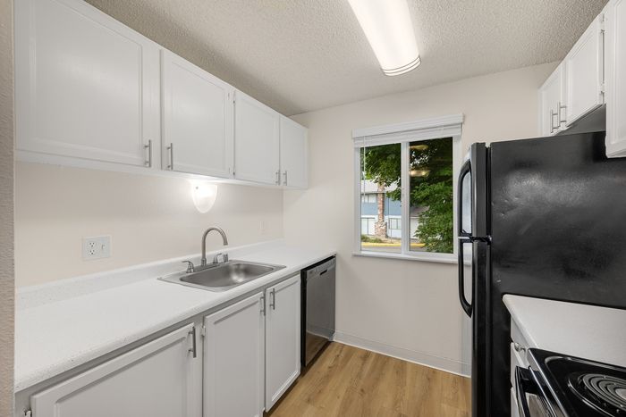 Modern kitchen with sleek white cabinetry, stainless steel appliances, and natural light pouring through a window with a view of greenery.