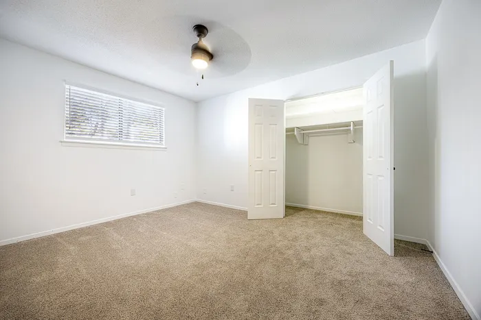 Bright bedroom with plush carpet, large window allowing natural light, modern ceiling fan, and spacious closet with open doors.