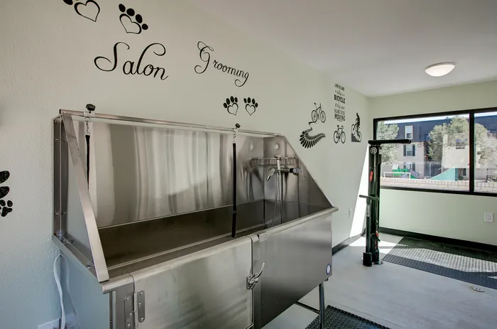 ReNew Kennedy Park Dog Spa with Large Stainless Steel Tubs