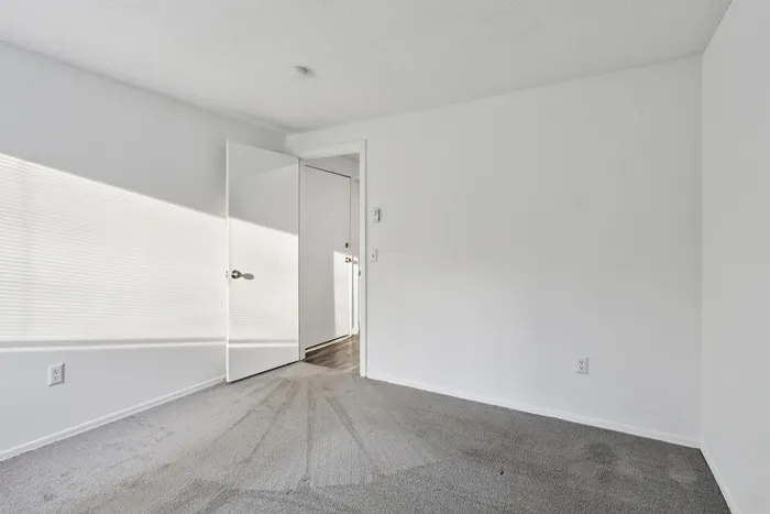 Bright, spacious bedroom featuring plush carpeting and a modern minimalist design.