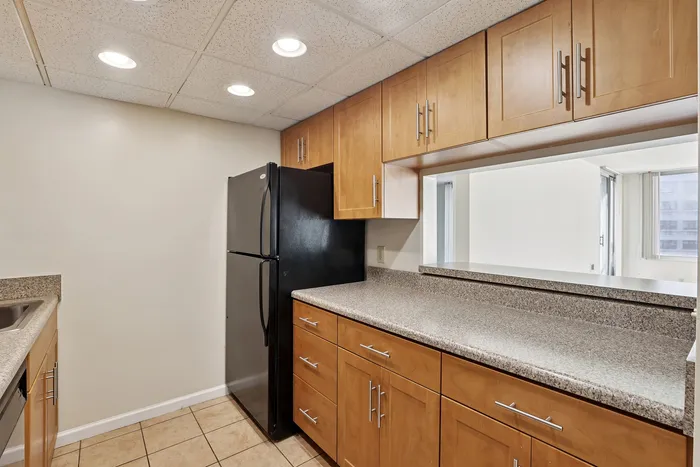Modern kitchen showcasing sleek black appliances, stylish wooden cabinetry, and elegant granite countertops with ample natural light.