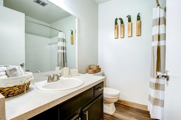 Modern bathroom featuring a sleek countertop with a stylish sink, contemporary fixtures, and tasteful decor accents, creating a refreshing and inviting space.