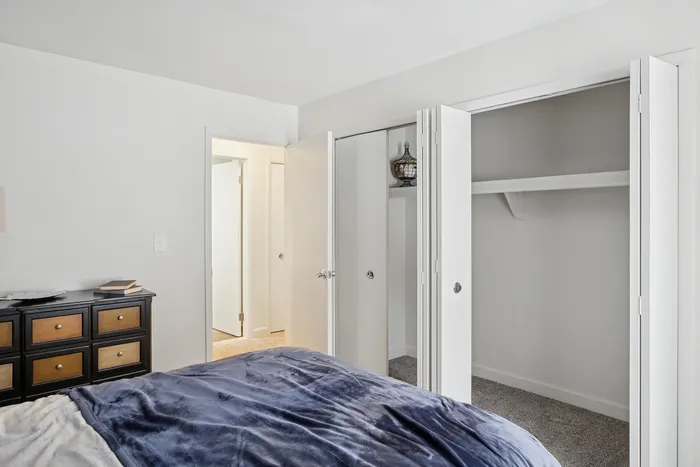 Elegant bedroom with spacious open closet, sleek black dresser, and cozy carpet, exuding comfort and style.