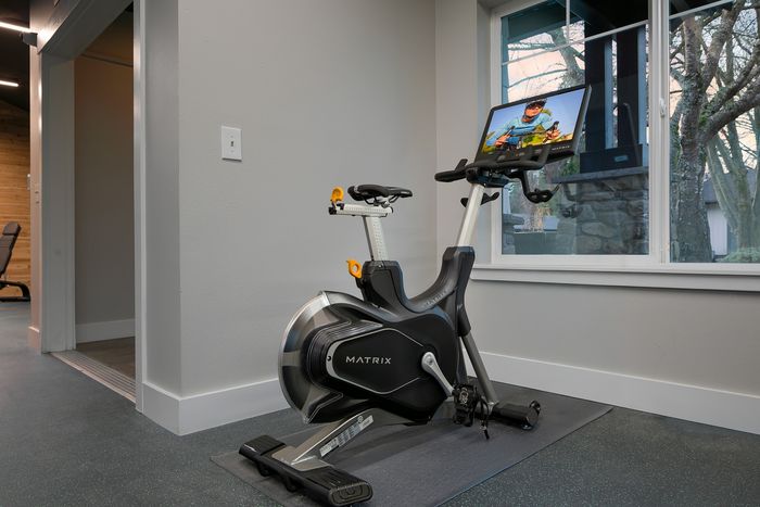 Modern home gym with high-quality exercise bike placed beside a window, offering a bright and refreshing workout space.