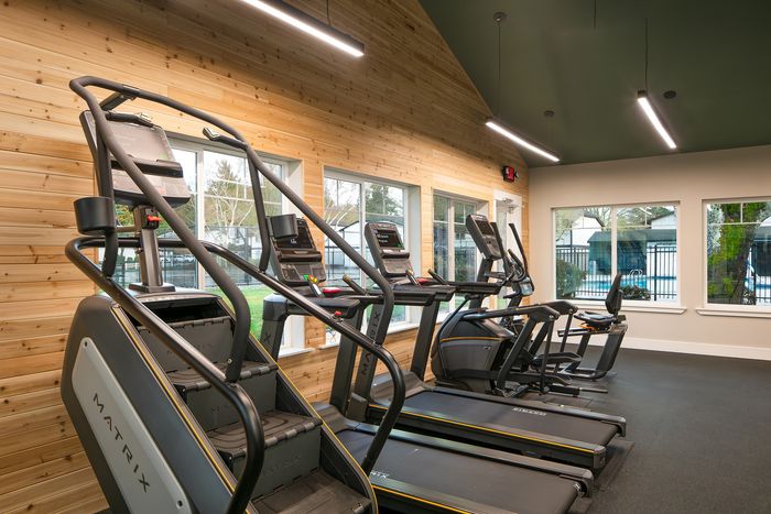 Inviting fitness room with state-of-the-art cardio machines, natural wood paneling, and bright windows overlooking a serene outdoor space.