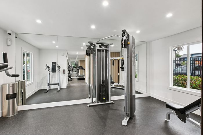 Modern apartment gym with sleek exercise machines, natural light, and mirrored walls for an invigorating workout experience.
