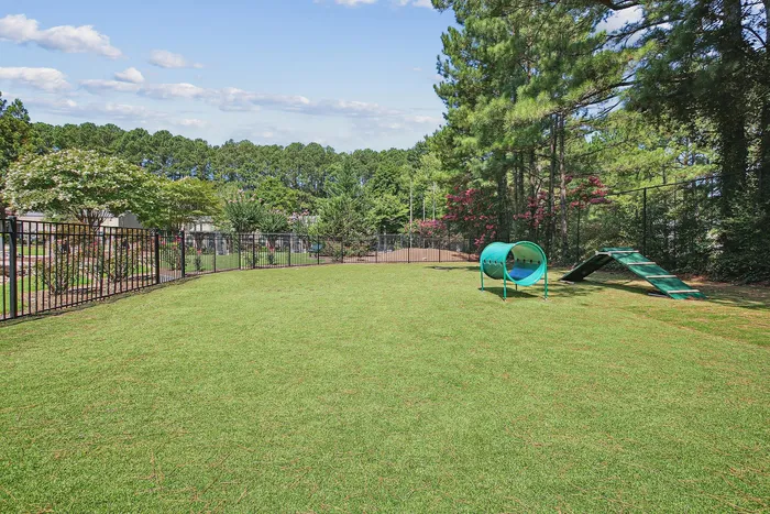 Expansive dog park with vibrant green grass, agility tunnel, and climbing ramp surrounded by lush trees and a secure fence for pet-friendly fun.