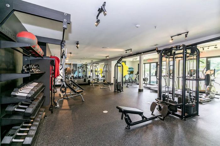 Modern fitness center equipped with a wide range of exercise machines and free weights, offering a spacious and bright environment for an energetic workout.