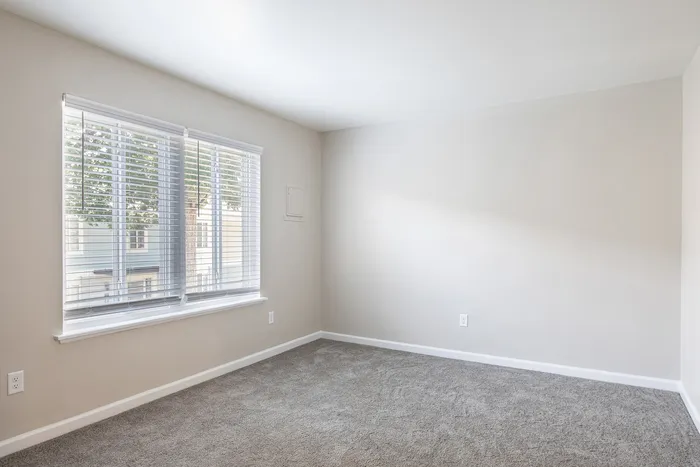 Bright, inviting room featuring plush carpet and large window with sleek blinds, creating a cozy, sunlit atmosphere.