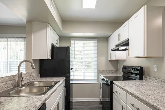 Modern kitchen with sleek granite countertops, stainless steel sink, and elegant cabinetry, illuminated by natural light through a large window.