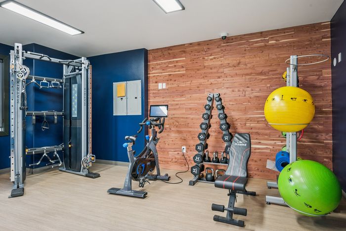 Modern fitness room showcasing state-of-the-art exercise equipment, including a versatile weight station, exercise bike, and vibrant stability balls against a stylish wooden accent wall.