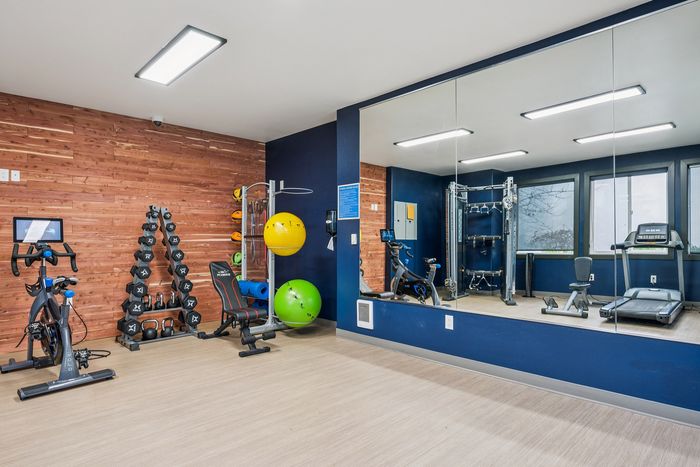 Modern fitness room with exercise bike, weights, yoga balls, and a treadmill, featuring sleek design and expansive mirrors for an energetic workout environment.