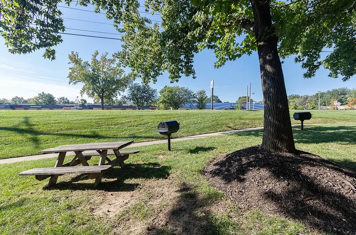 Outdoor Green Space