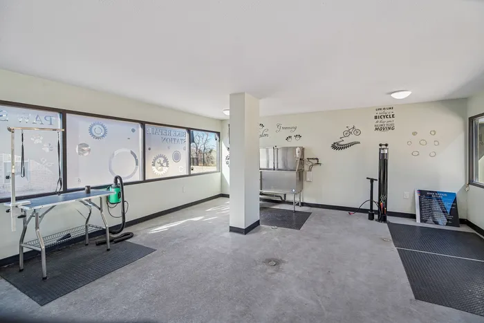 Bright and versatile multi-purpose room featuring pet grooming stations and bicycle repair area with large windows and cheerful wall art.