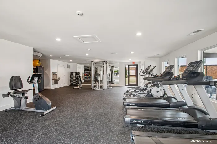 Modern fitness center with cardio machines, strength training equipment, and bright natural lighting.
